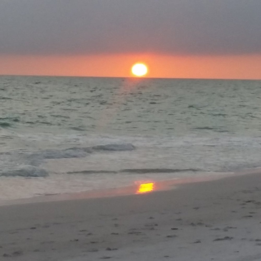 Meet your Posher, Michelle *make me an offer *